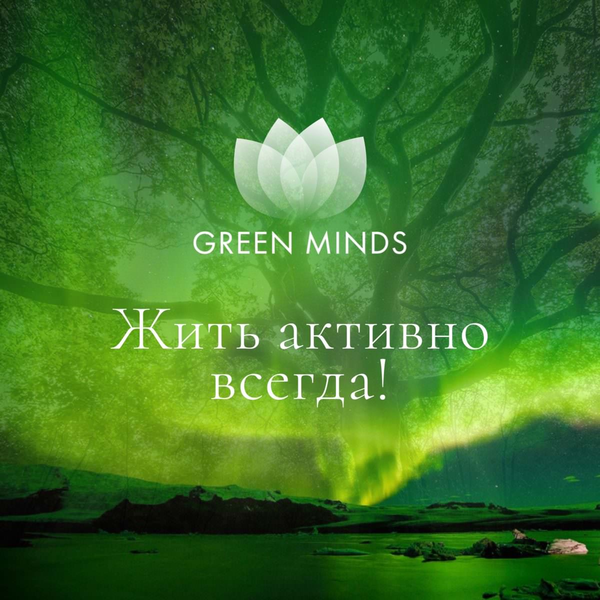 Нейромедитация GREEN MINDS «Жить активно всегда!» по цене 460 руб. - купить  в Макарове ☛ Доставка ☆ Интернет-магазин «EcoGreenDom»